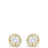Absolute Gold Circle Stud Earrings