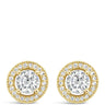 Absolute Gold Halo Stud Earrings