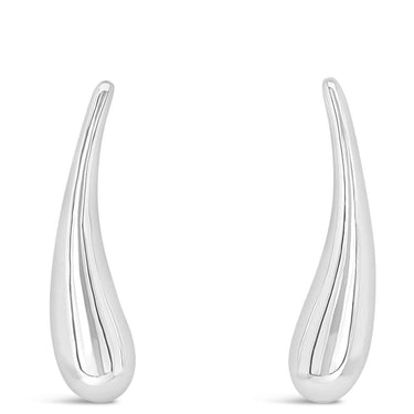 Pair of silver earrings on a white background