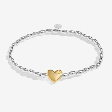 Joma Gift Boxed Star Season To Sparkle Bracelet - Two Tone