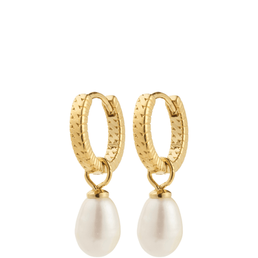 Gold hoop earrings with white pearl drops on a white background
