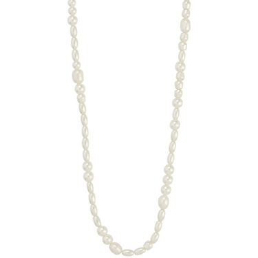 Pearl necklace on a white background