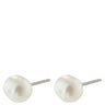Pilgrim Emory Silver Classic Freshwater Pearl Stud Earrings