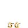 Gold earrings on a white background