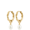 Gold hoop earrings with pearl drops on a white background