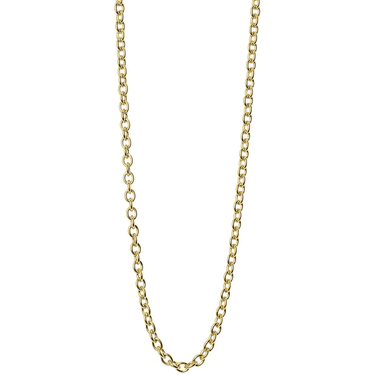 Gold chain necklace on a white background