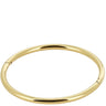 zag-chenille-gold-classic-bangle