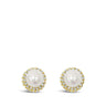 Absolute Gold Pearl Clip On Earrings