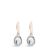 Absolute Two Tone Drop Earrings E2078MX