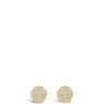 E2097GL Absolute Gold Stud Earrings