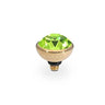 Qudo Bottone 10mm Gold Topper - Citrus Green