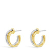 Two gold hoop earrings on a white background