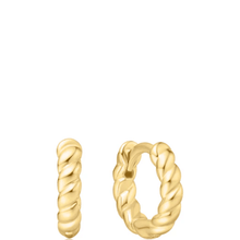 Gold hoop earrings on a white background