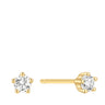 ania-haie-gold-mini-prong-stud-earring