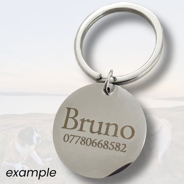 BeJeweled Bespoke Stainless Steel Dog ID Tag *Rainbow Rehoming*