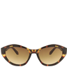 Sunglasses with tortoiseshell frame and brown lenses on a white background