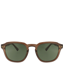 Brown sunglasses with green lenses on a white background