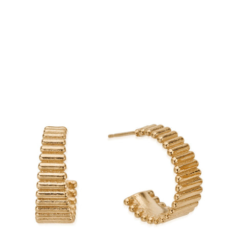 ChloBo Large Ridge Hoop Earrings - Gold