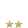 ChloBo Sparkle Star Stud Earrings - Gold