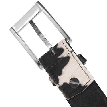 Belt with cow print strap and silver buckle on a white background