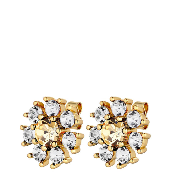 Dyrberg Kern Aude Gold Stud Earrings - Golden