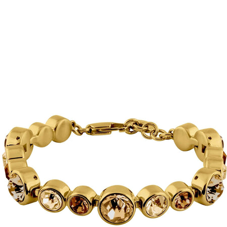 Dyrberg Kern Calice Gold Bracelet - Brown Mix