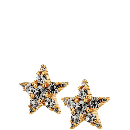 Dyrberg Kern Cana Gold Stud Earrings - Grey