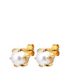 small pearl gold encased stud earrings
