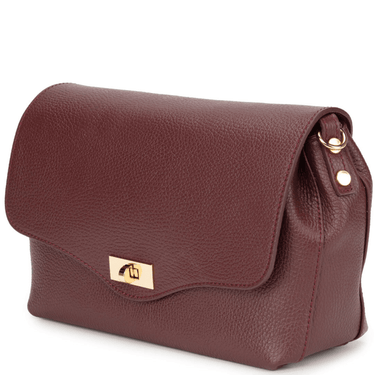 Brown leather handbag with a gold clasp on a white background