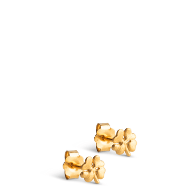 Gold flower-shaped earrings on a white background