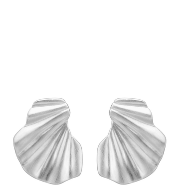 Pair of silver earrings on a white background
