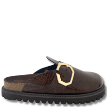 Brown shoe with a gold buckle on a white background