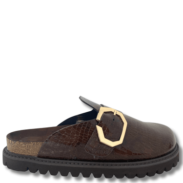 Brown shoe with a gold buckle on a white background