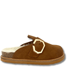 Brown slipper with a gold buckle on a white background