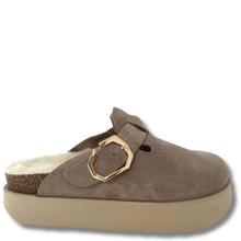 Brown slipper with gold buckle on a white background