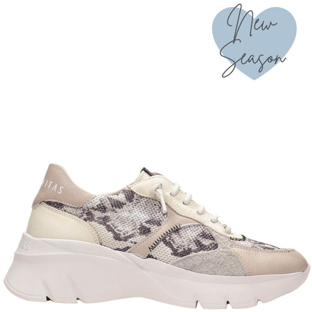 Hispanitas Taupe Leather Python Elevated Sole Sneakers