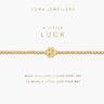 joma-a-little-luck-bracelet-7586_1 (1).jpg