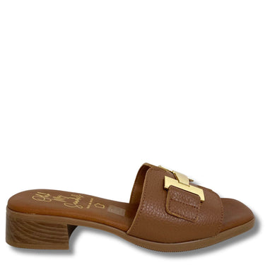 Brown sandal with gold buckle on a white background