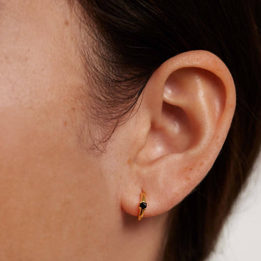 PDPAOLA Gold & Black Small Hoop Earrings