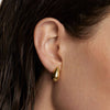 PDPAOLA Gold Sugar Earrings