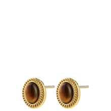 Gold earrings with brown gemstones on a white background