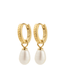 Gold hoop earrings with white pearl drops on a white background