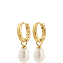 Gold hoop earrings with white pearl drops on a white background