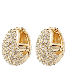 Pilgrim Focus Gold Hoop Earrings