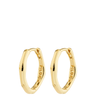 pilgirm-nova-gold-fine-hoop-earrings