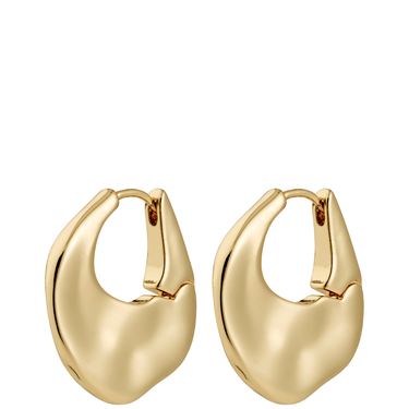 Pair of gold hoop earrings on a white background