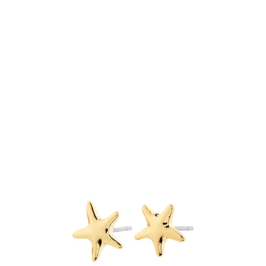 pilgrim-andre-gold-starfish-stud-earrings