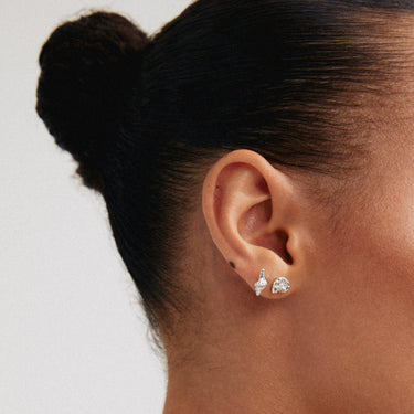 Pilgrim Force Silver Shell Stud Earring Set