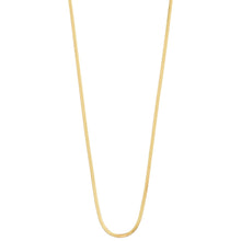 Gold chain necklace on a white background