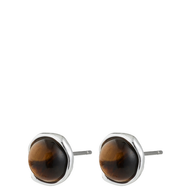 Pilgrim Sense Silver Small Tiger Eye Stud Earrings